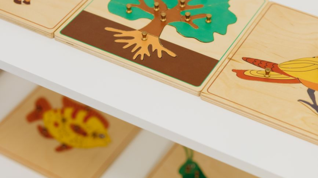 What Makes an Authentic Montessori Preschool Different in Wellington