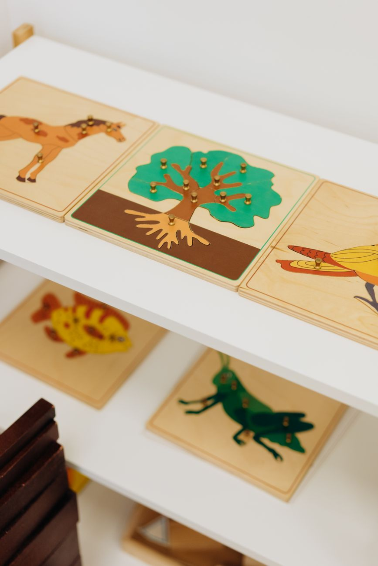 What Makes an Authentic Montessori Preschool Different in Wellington