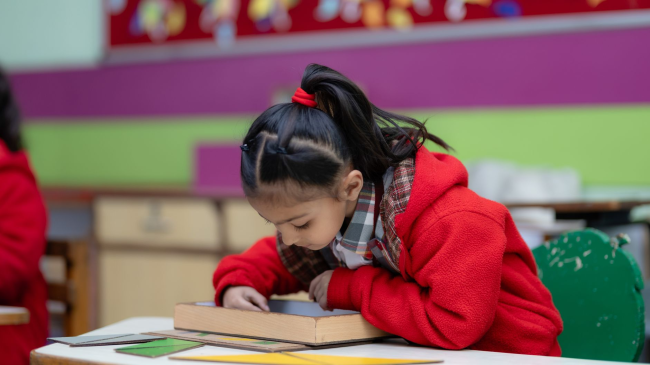 Montessori vs Traditional Preschool: What Wellington Parents Should Know