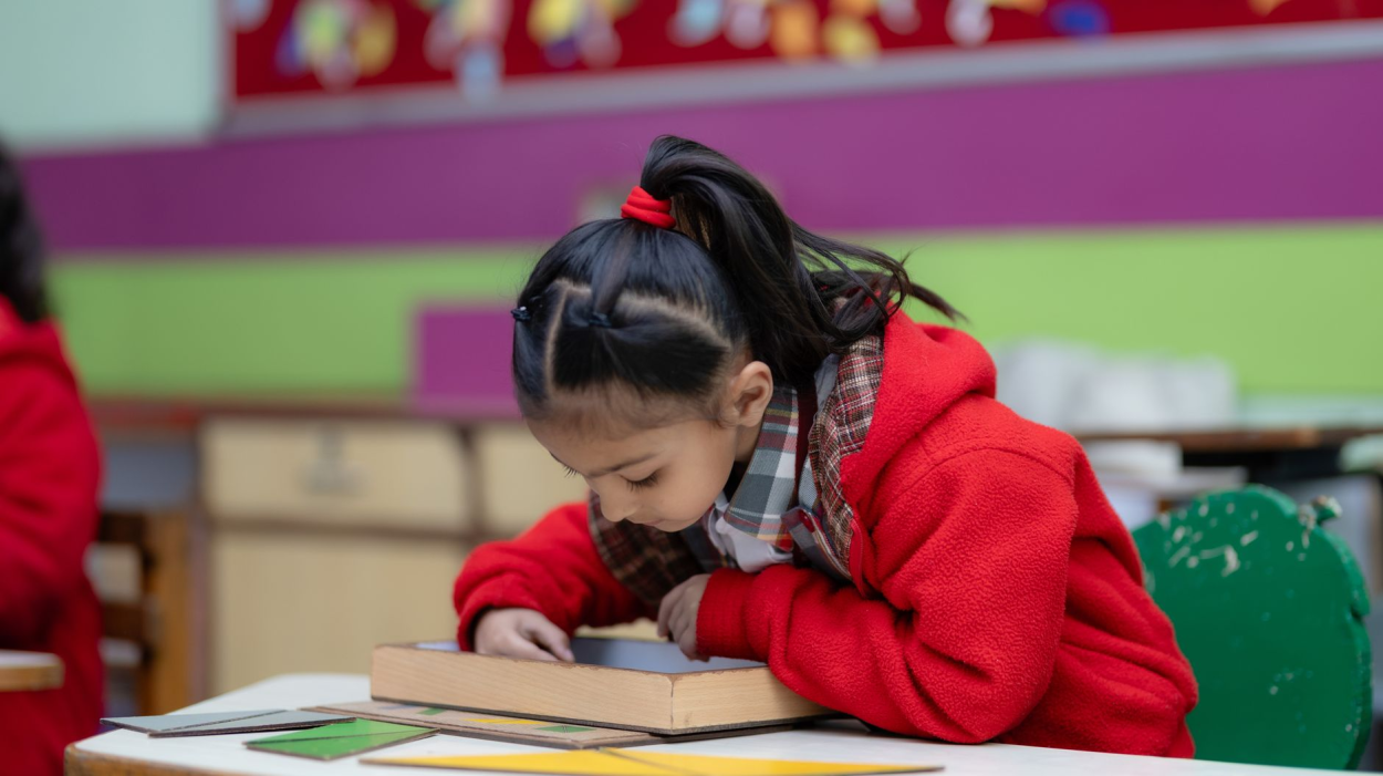 Montessori vs Traditional Preschool: What Wellington Parents Should Know
