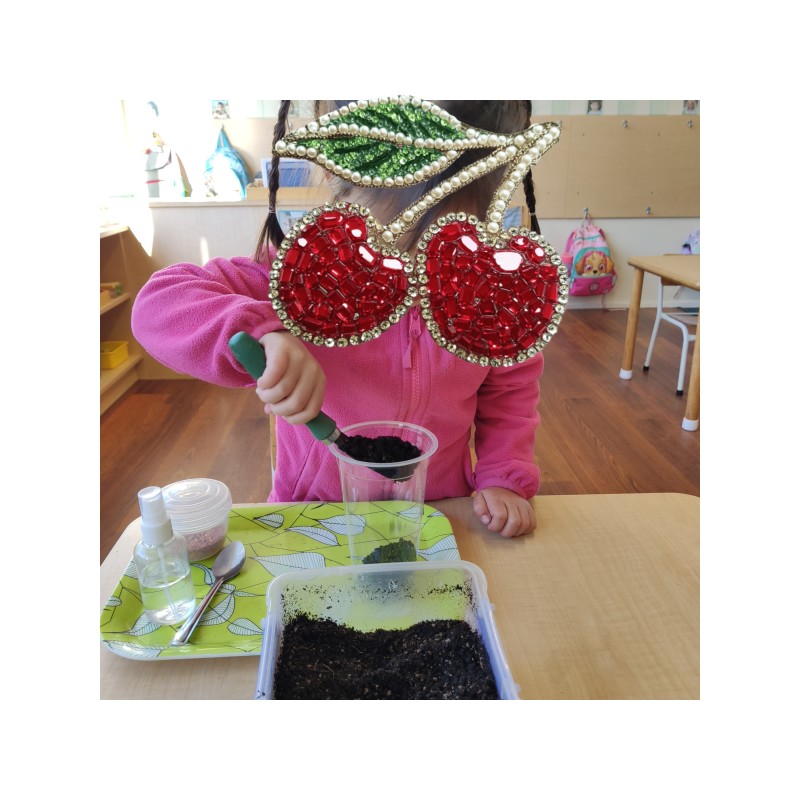 children trying to grow seeds - Botany Study | Montessori Children's House