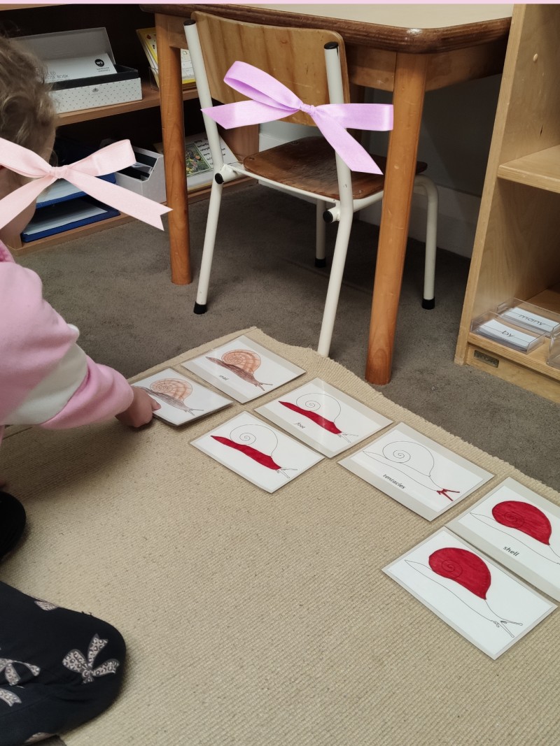 What's in the garden? - News  | Montessori Children's House