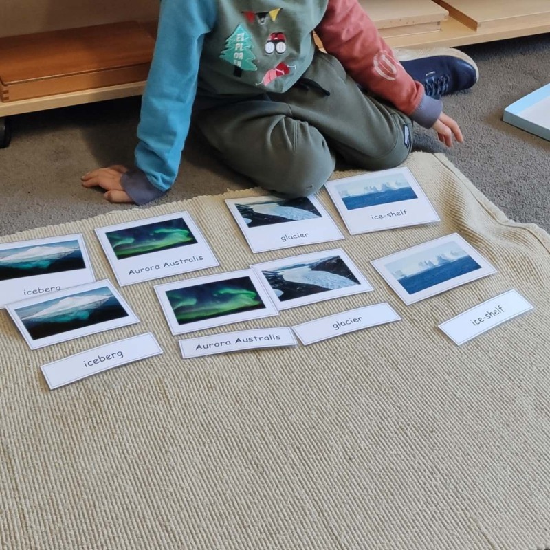 Antarctica Study in Term 3 - Term 3 Newsletter | Montessori Children's House