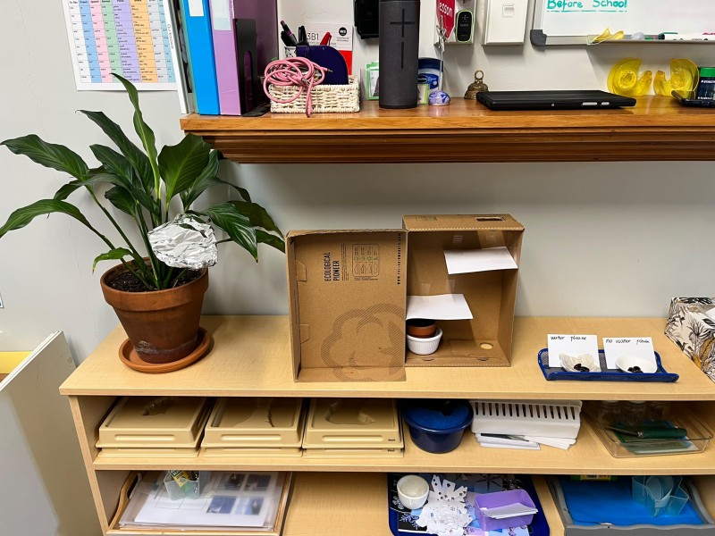 Our botany set up - News  | Montessori Children's House